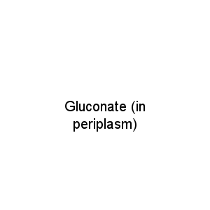 Gluconate (in periplasm)